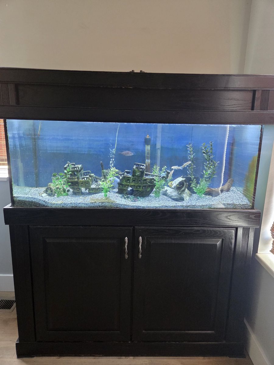 75G aquarium with stand and more!