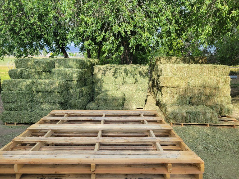 PREMIUM horse hay / Delivery services