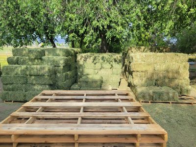 PREMIUM horse hay / Delivery services