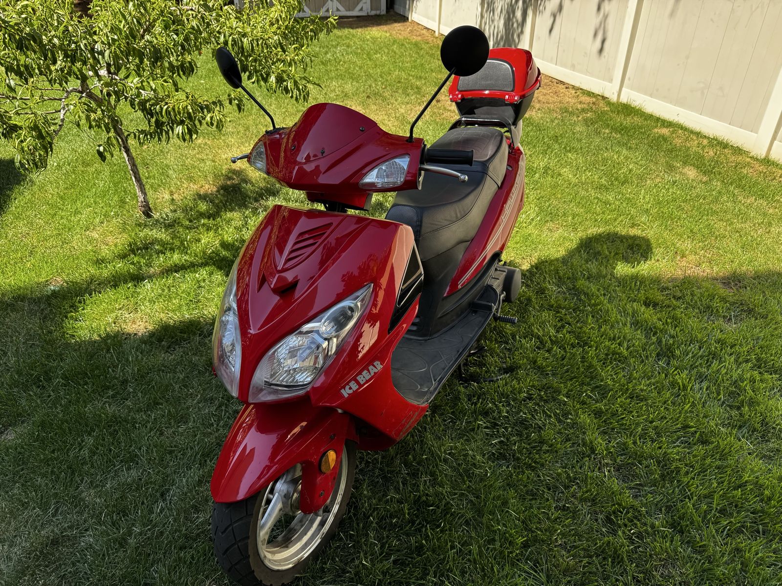 2021 Ice Bear Hawkeye Scooter