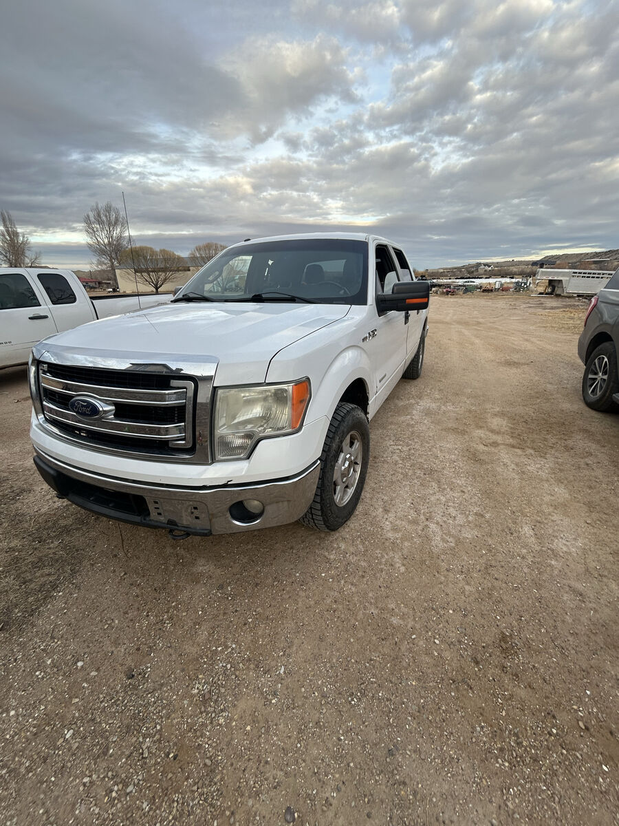 2014 FORD F150 XLT