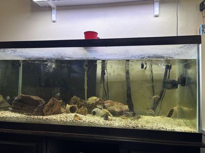 75 Gallons Tank