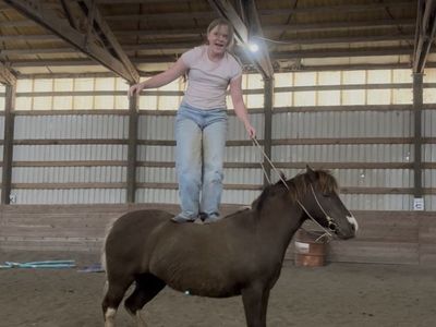 Ride/drive pony mare