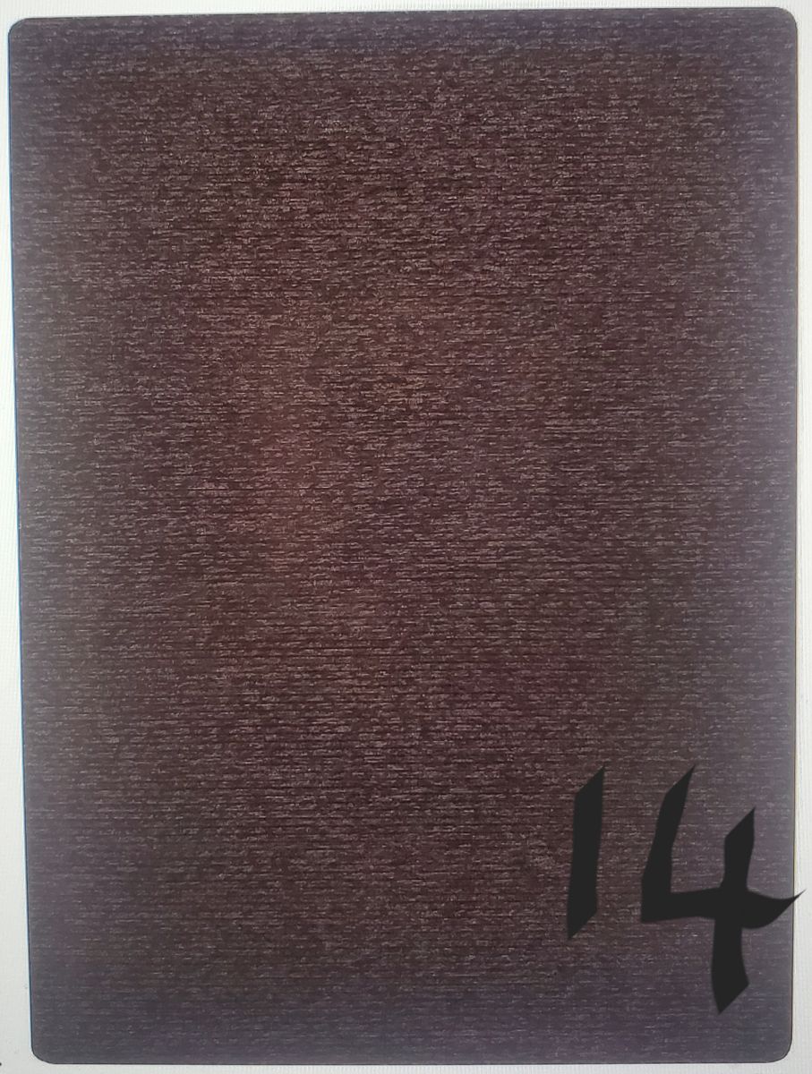 Diego 8x10 Area Rug - Solid Brown - Non Slip Backing - Machine Washable - Polypropylene - New