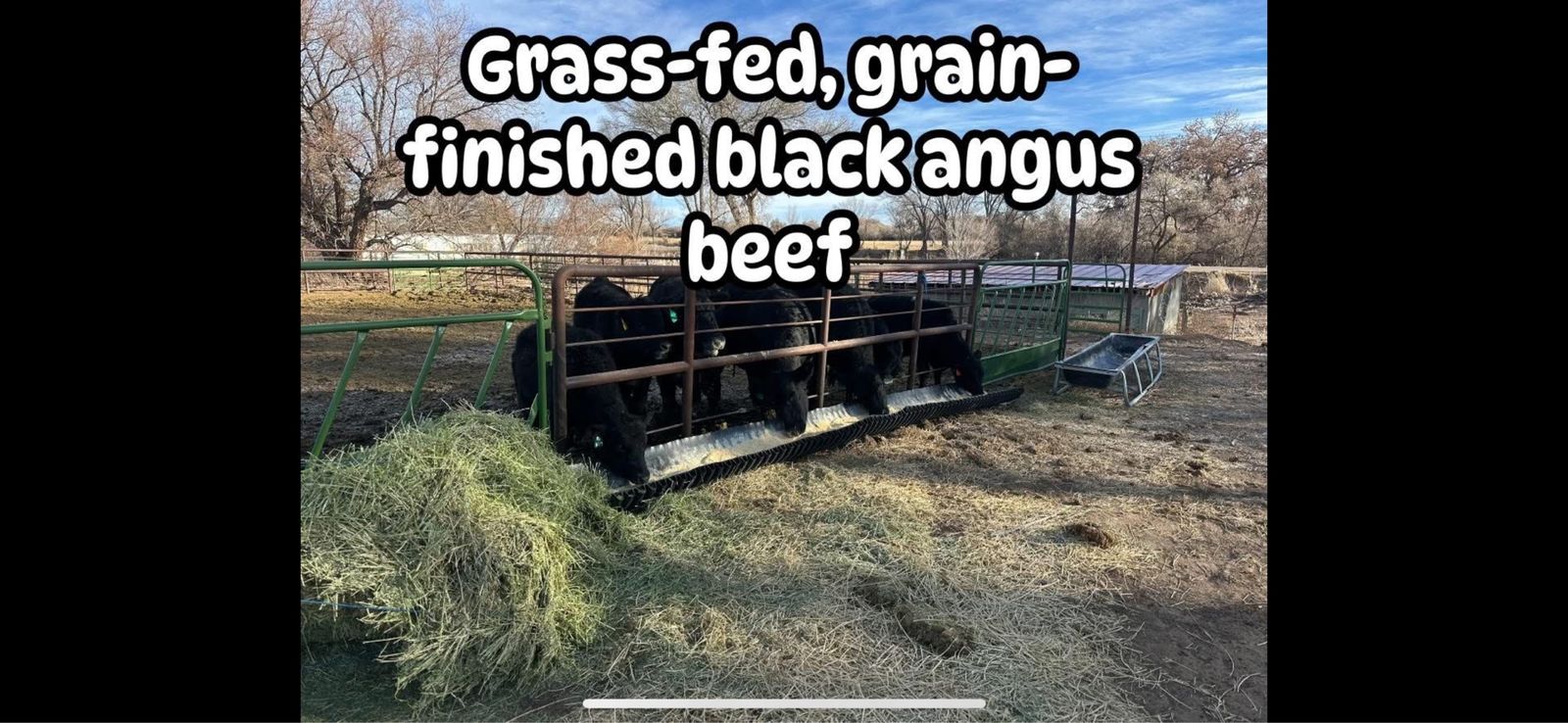 Local farm raised beef 