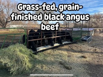 Local farm raised beef