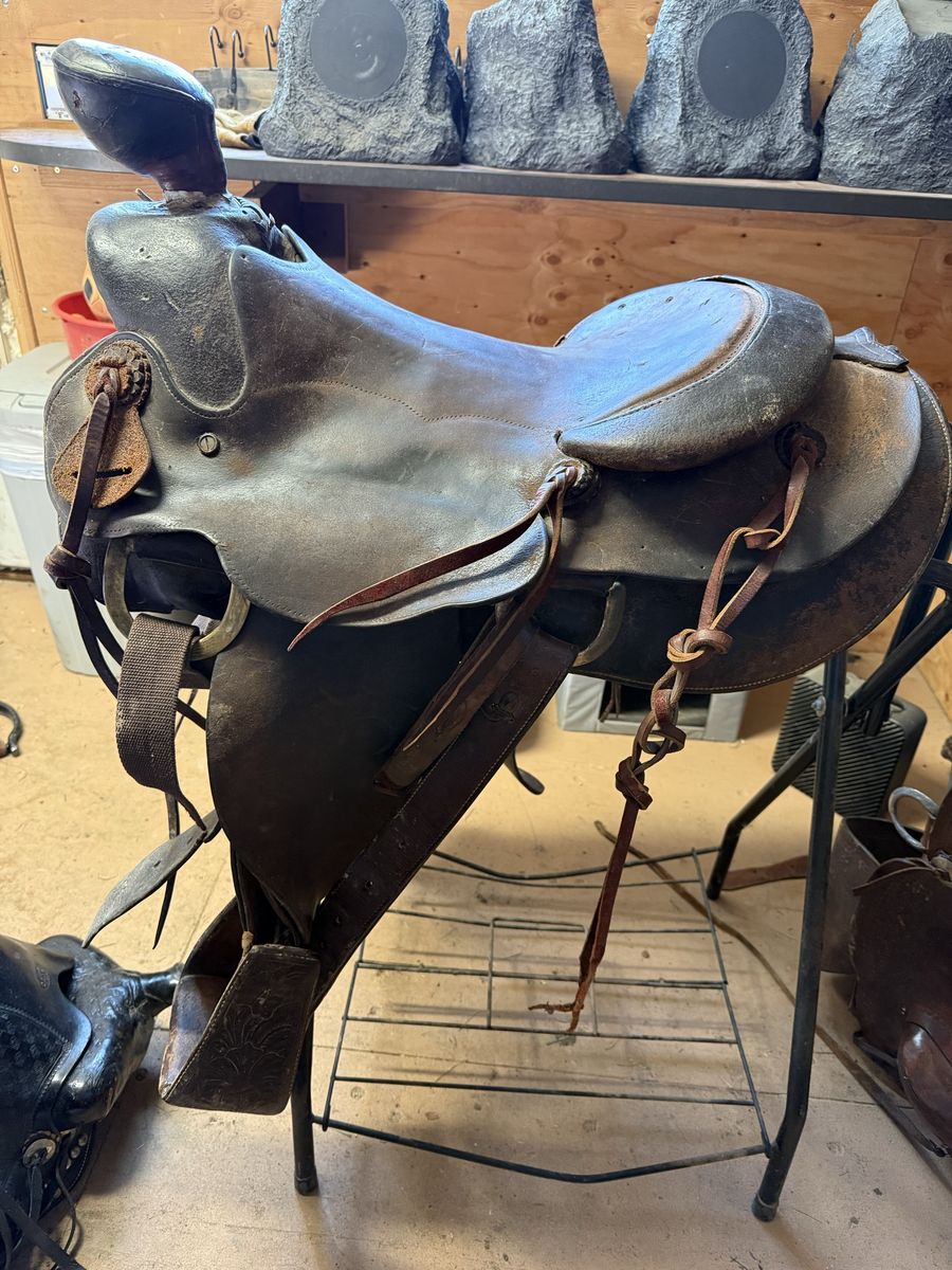 Saddle