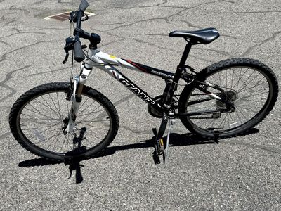 Giant Boulder SE 14” Hardtail Mountain Bike