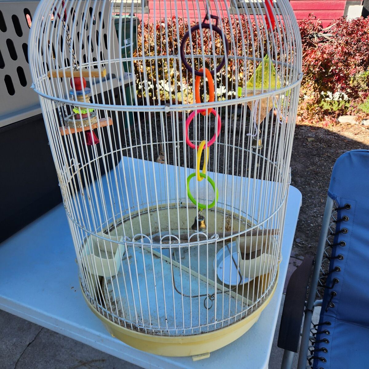 bird cage parakeet