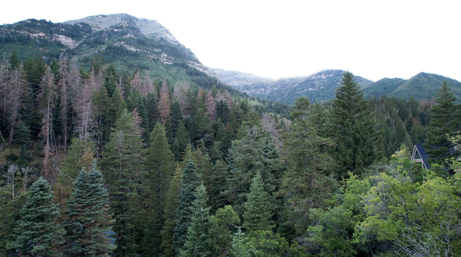 Main image 14