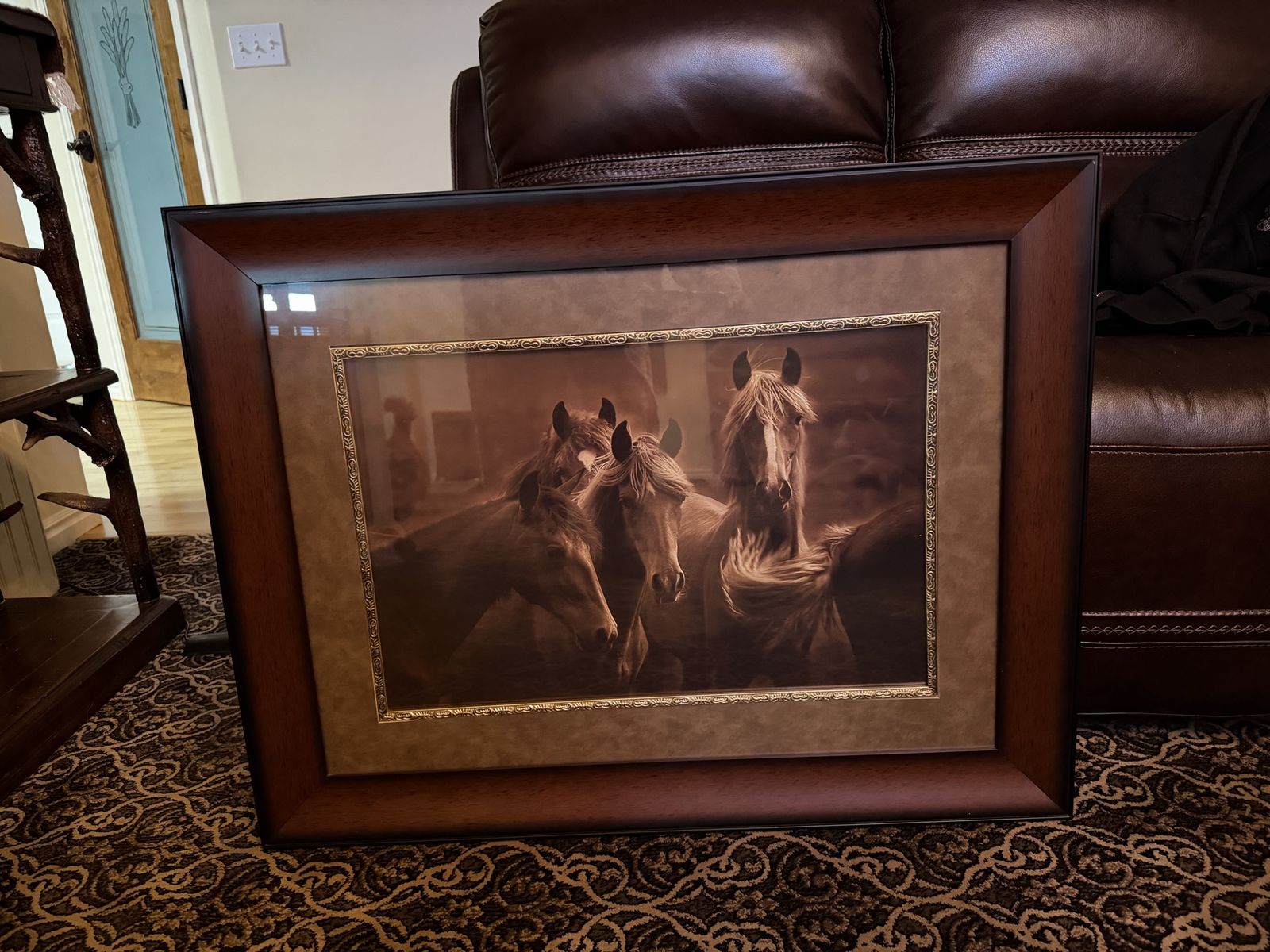 Beautiful Horse Picture