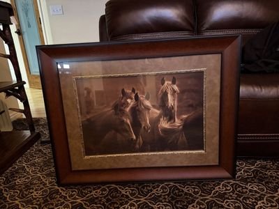 Beautiful Horse Picture