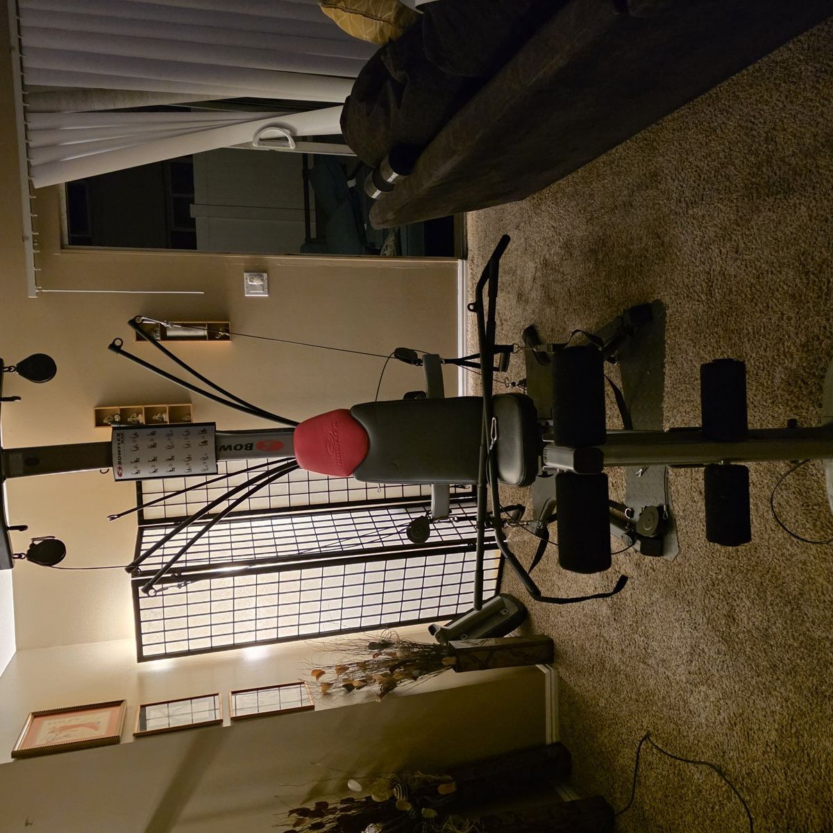 Bowflex Blaze Home Gym Full Body Workout Machine w