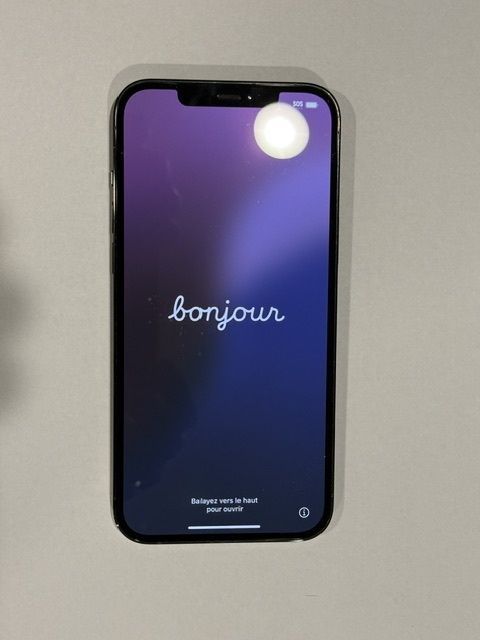 Apple iphone 12 Pro Max, 256 GB, Unlocked, Superior Condition
