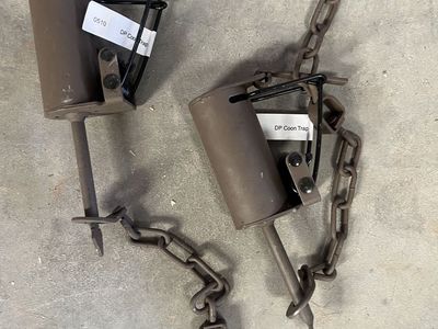 Raccoon Traps