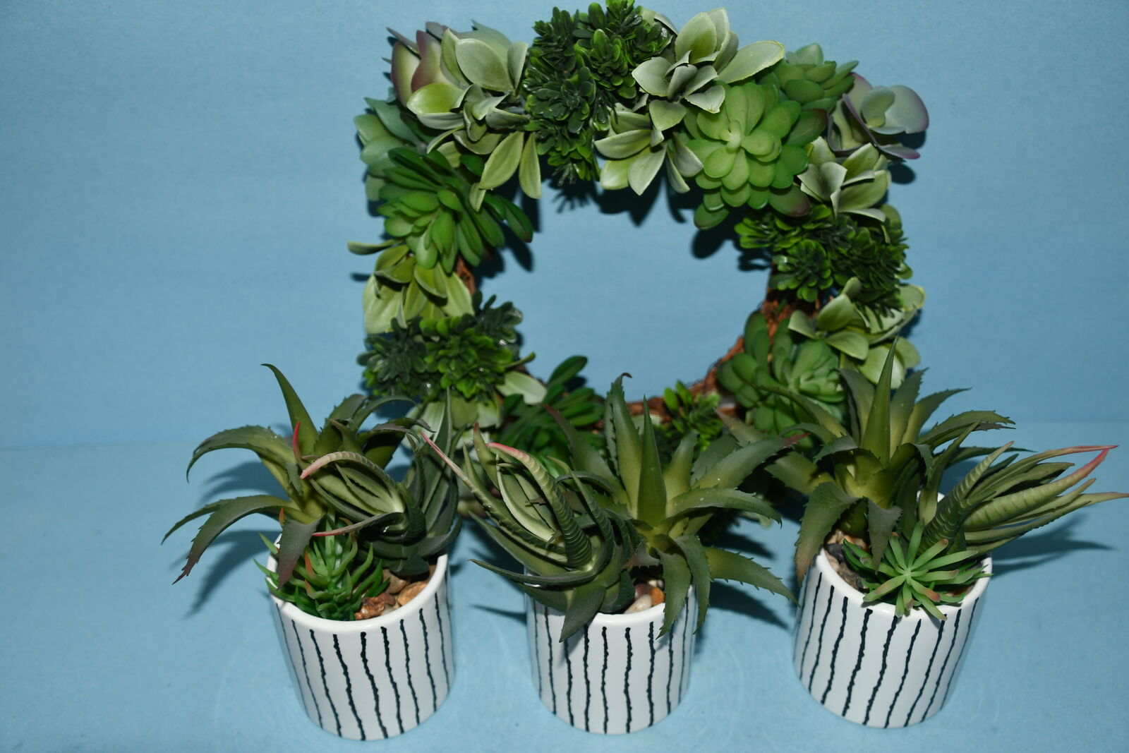 SUCCULENT WREATH + 3 ARTIFICAL PLANTS in BLACK & WHITE POTS ~ ALL FOR $5