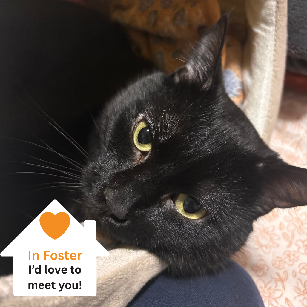 Hello my name is Aldo