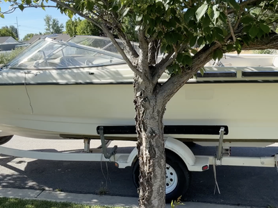 21 Ft Bayliner with Mercruiser Alpha One