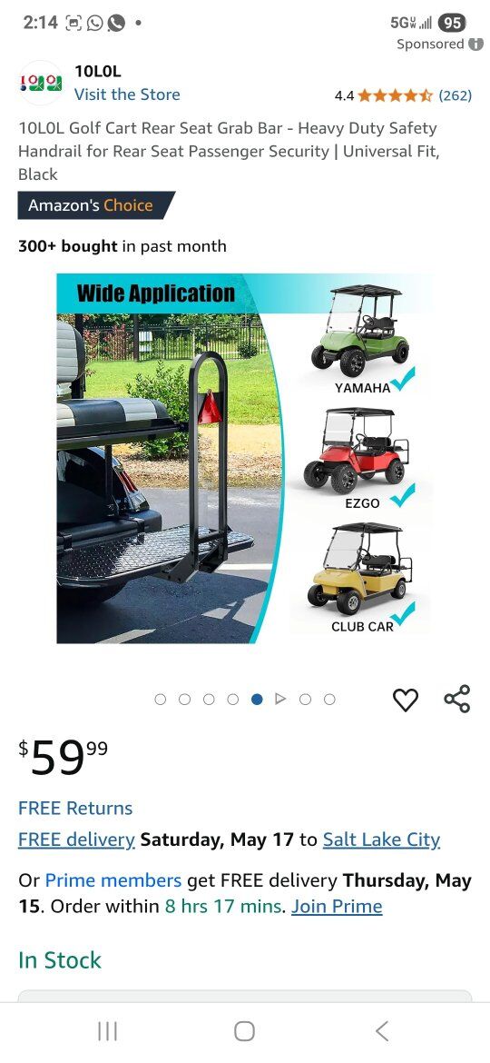 10LOL Golf Cart Rear Grab Bar
