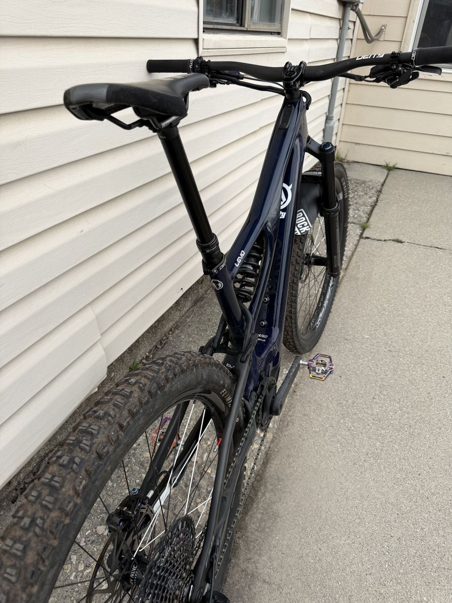 2020 Specialized Levo Carbon (large)