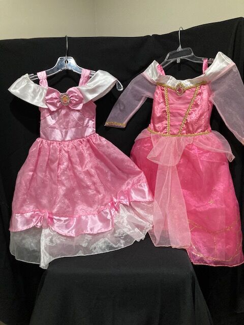 DISNEY STORE Sleeping Beauty  PRINCESS AURORA Set   $20 Each