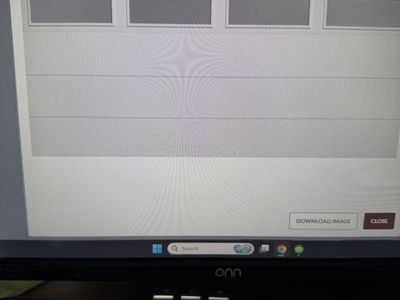 Garage door 16x8