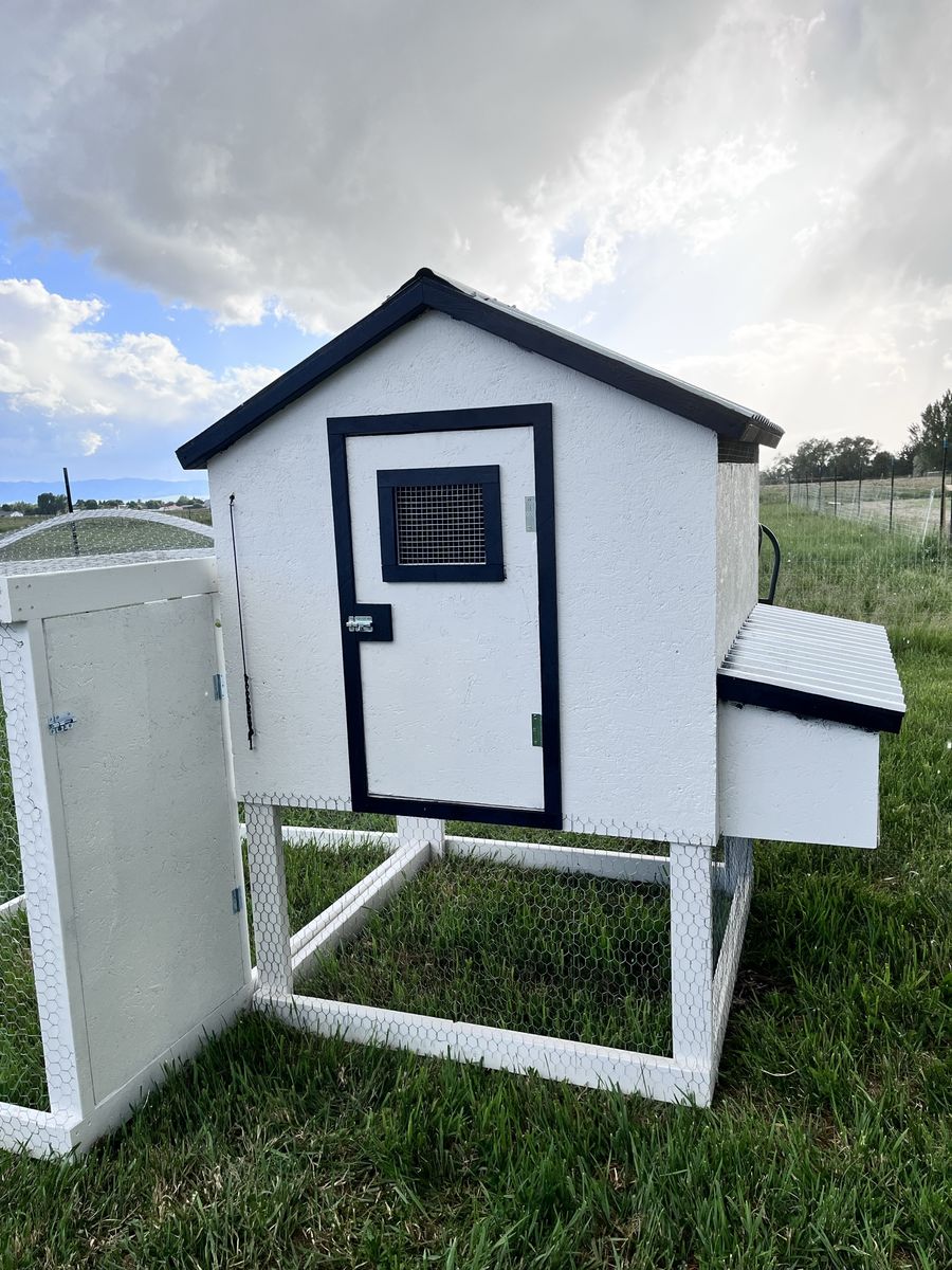 New Chicken Coop