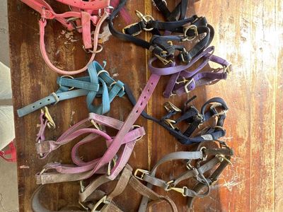 Horse Halters