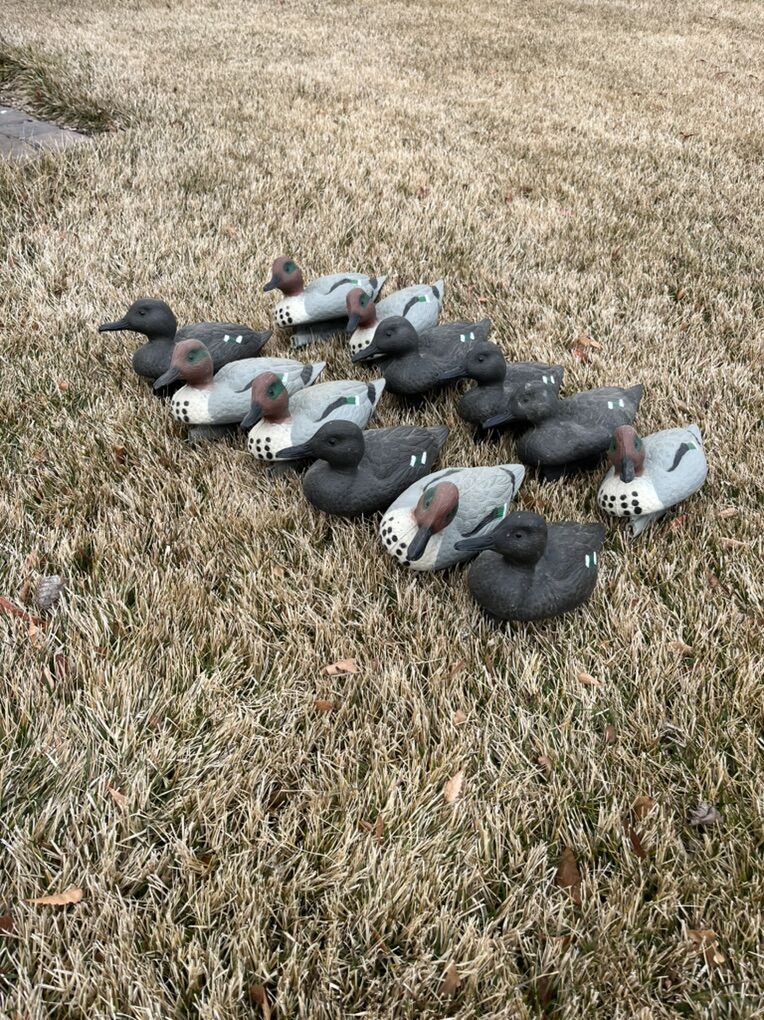 Duck Decoys