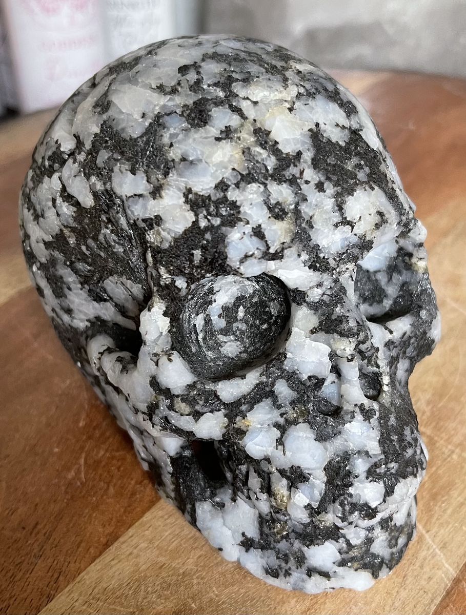 NEW Natural Crystal 5" Skeleton SKULL BLACK TOURMALINE QUARTZ Protection Stone Home Decor Decoration Figurine Statue Collectible