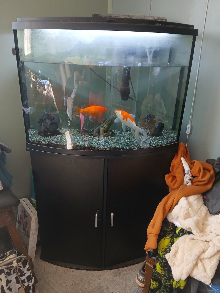 150 GALLON FISH TANK