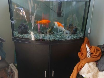 150 GALLON FISH TANK