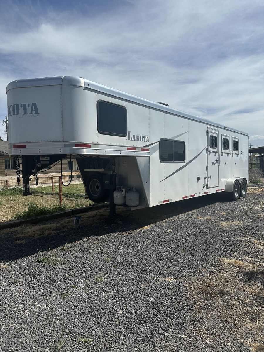 2020 Lakota Colt LQ 3 Horse