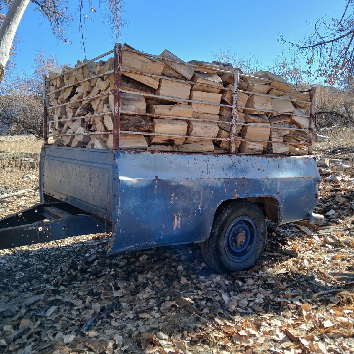 Firewood