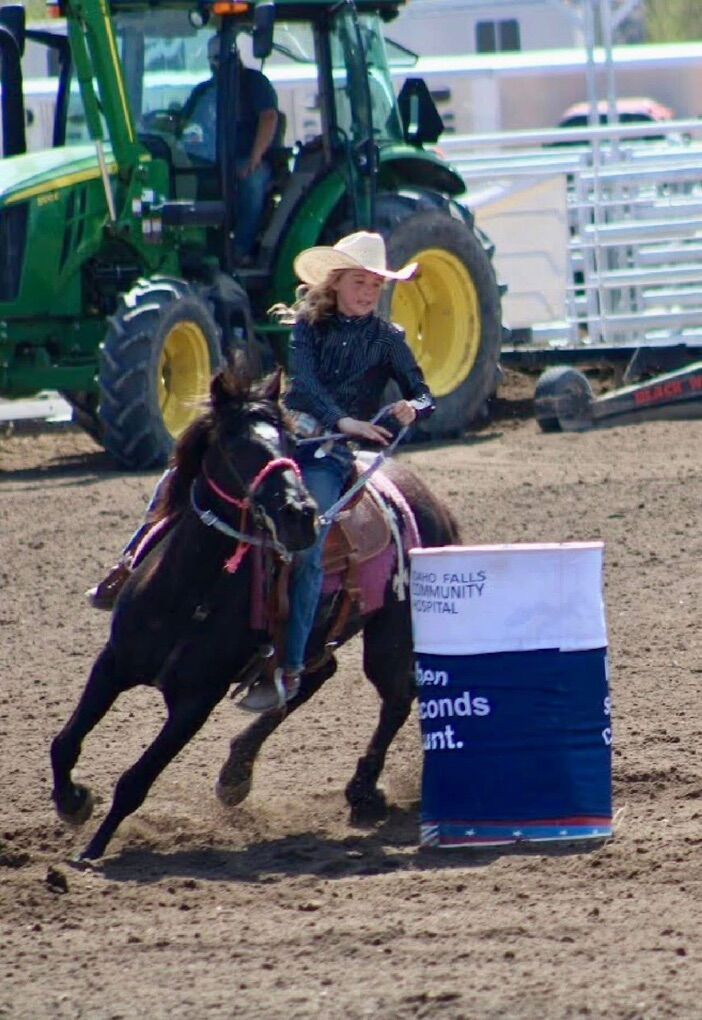 8 Yr Old QH/pony Cross