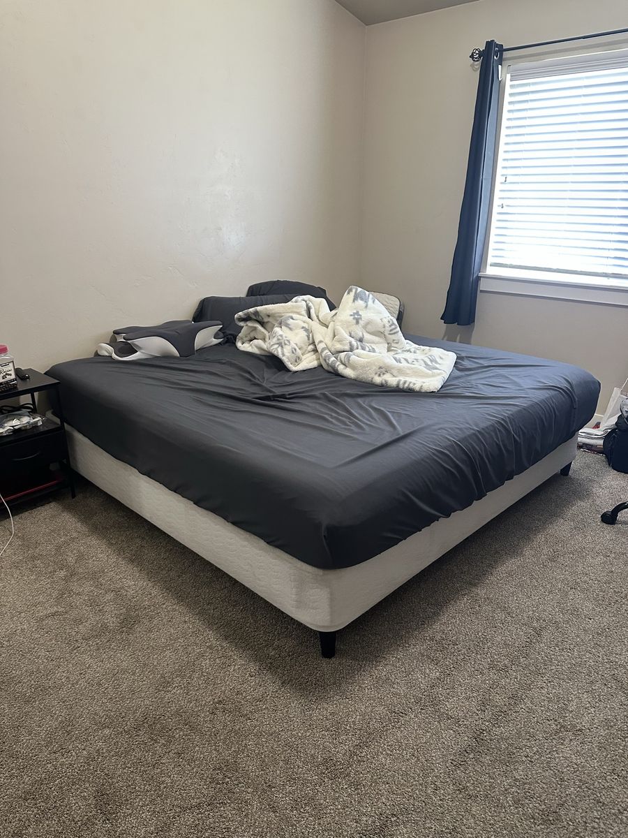 King bed and box spring - sleepys by Seely