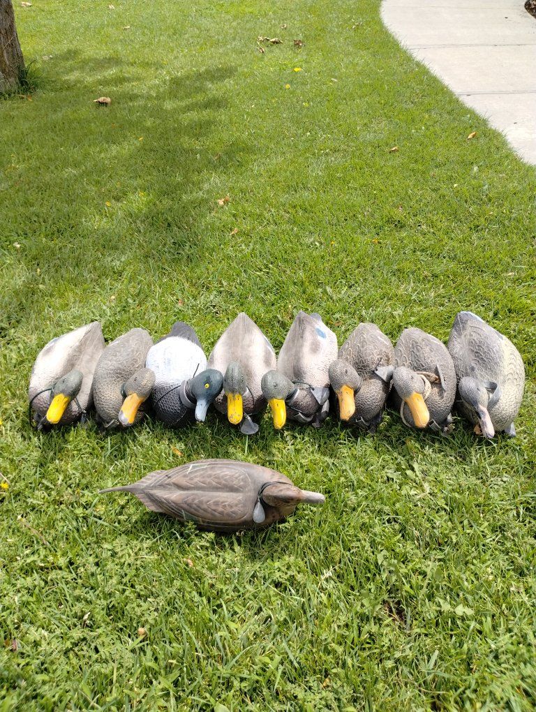 Set of 9 Duck Decoys with Weights and Lines