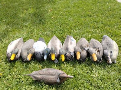 Set of 9 Duck Decoys with Weights and Lines