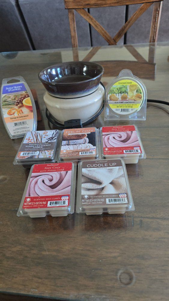 Electric Wax Warmer with Assorted Scented Wax Melts