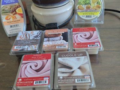 Electric Wax Warmer with Assorted Scented Wax Melts