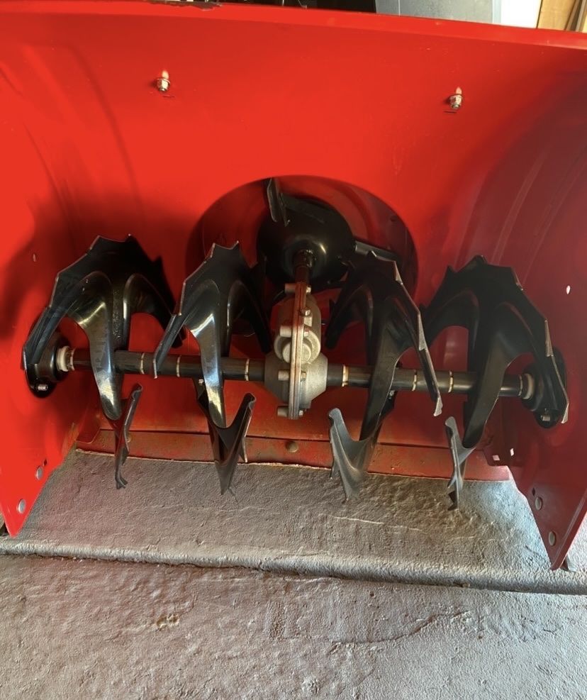 Main image 7