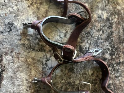 Bronc spurs