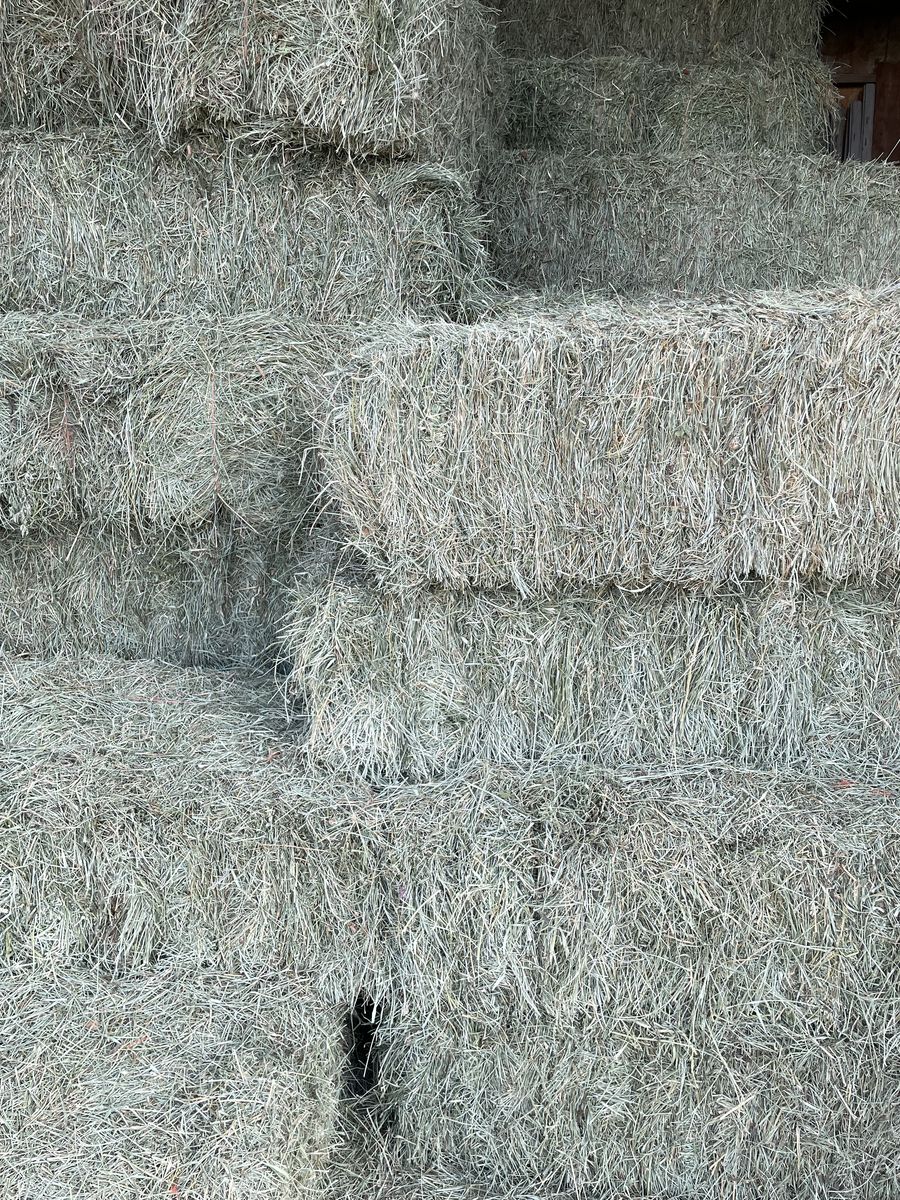 Small bales Grass/Alfalfa mix