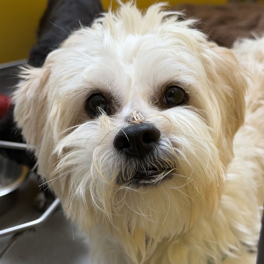 Hello my name is Basil