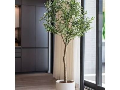 Faux 6.5' Topiary Olive Tree 1987568 #107192