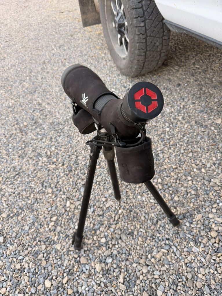 Main image 4