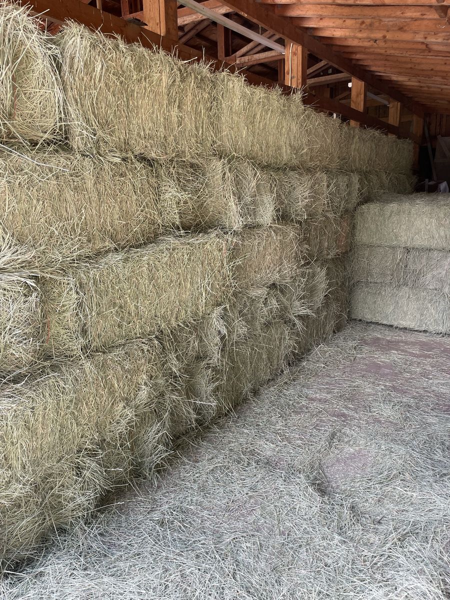 Grass Hay small bales
