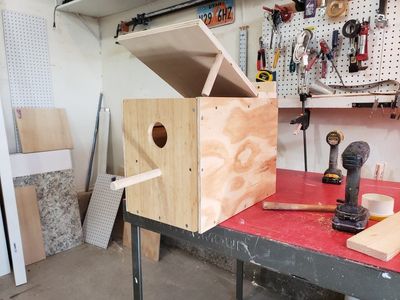 bird breeder box
