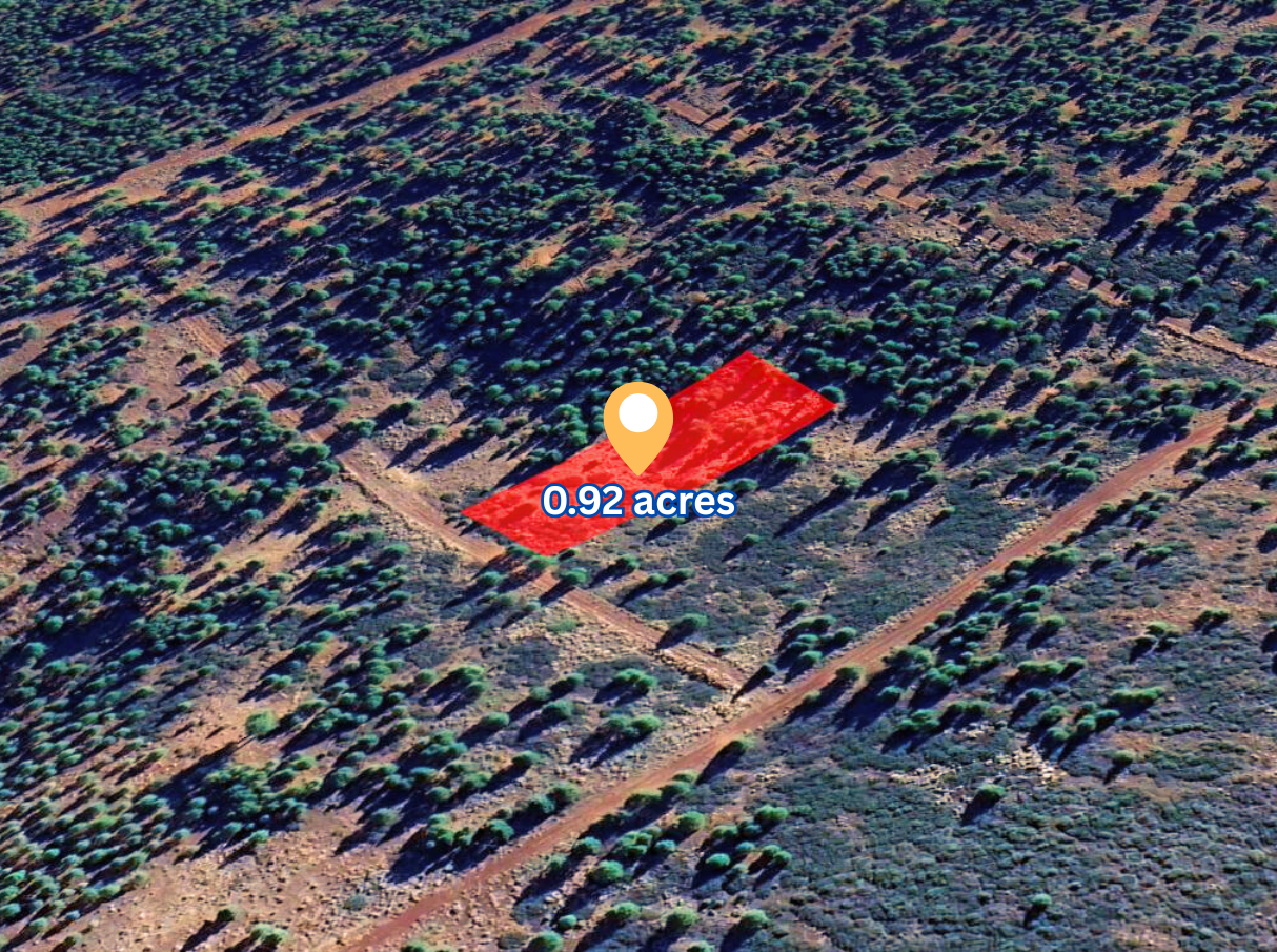Main image 5