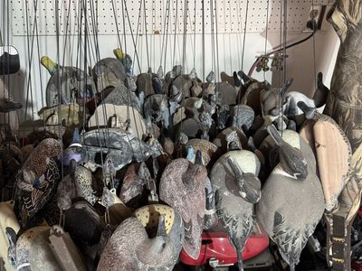 Waterfowl Duck Decoys Lot with Texas Rig Lines